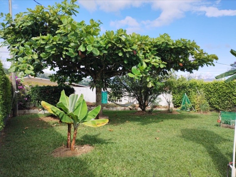 Artesanías