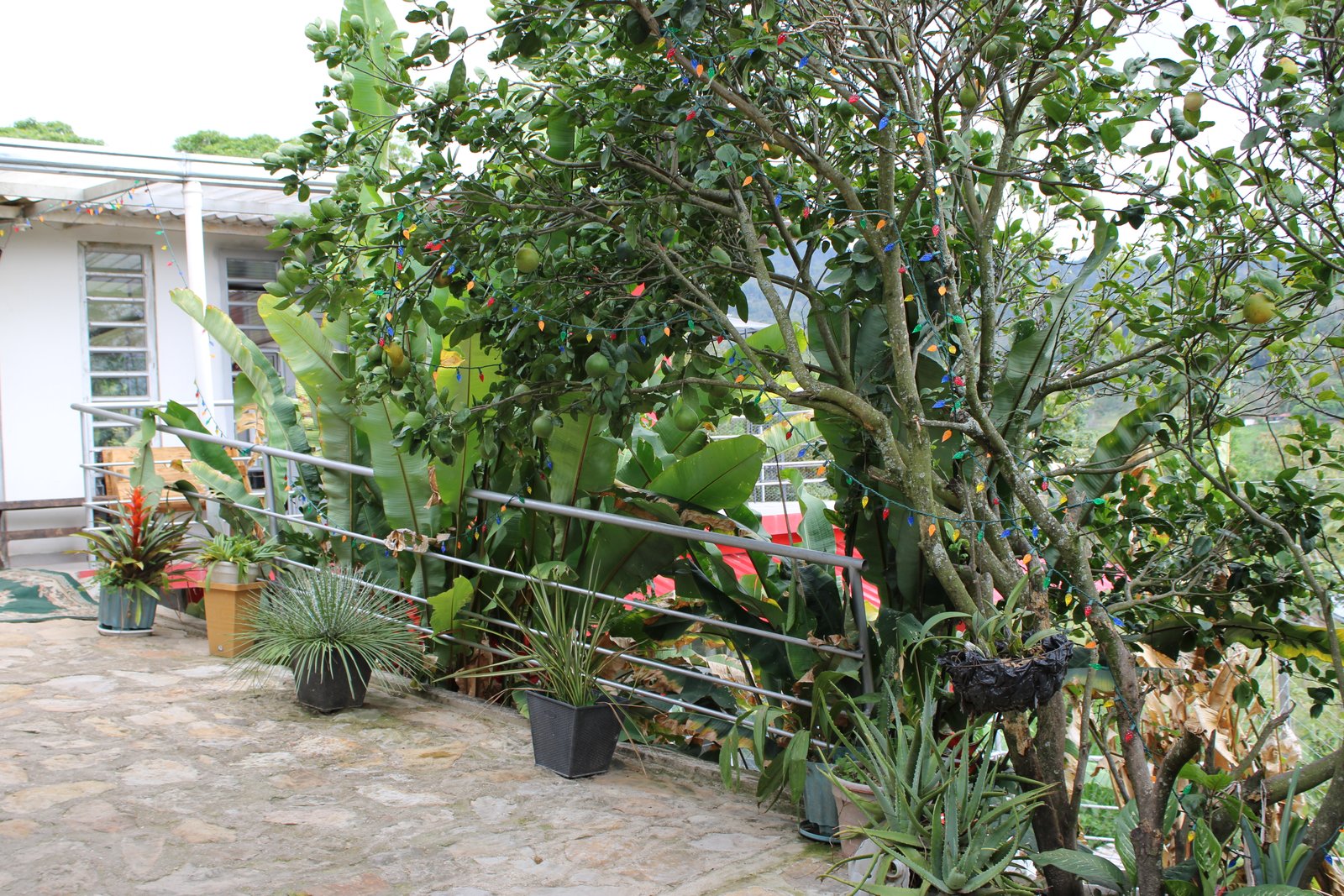 Carretera hacia el horizonte